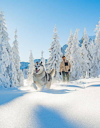 Urlaub mit Hund im Winter