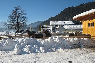 "Hoppel-Koppel-Schnatterstall" Streichelzoo auch im Winter geöffnet